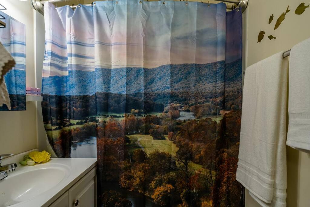 Dog And Family Friendly 4Br W Wifi And Fenced Yard By Zen Living Short Term Rental Luray Exterior photo